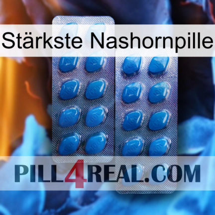 Stärkste Nashornpille viagra2